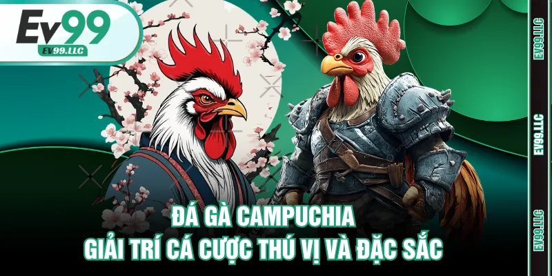 Đá gà campuchia