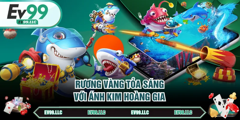 Rương vàng tỏa sáng với ánh kim hoàng gia